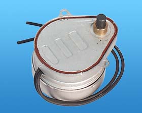 110VAC 60RPH (1RPM) TIMING MOTOR