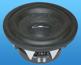 10 CALIBER  DUAL V/C 2OHM SUB WOOFER