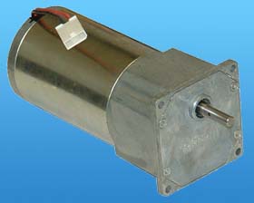 36V/245RPM GEARHEAD MOTOR