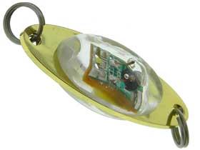 Green LED Flashing Fish Lure